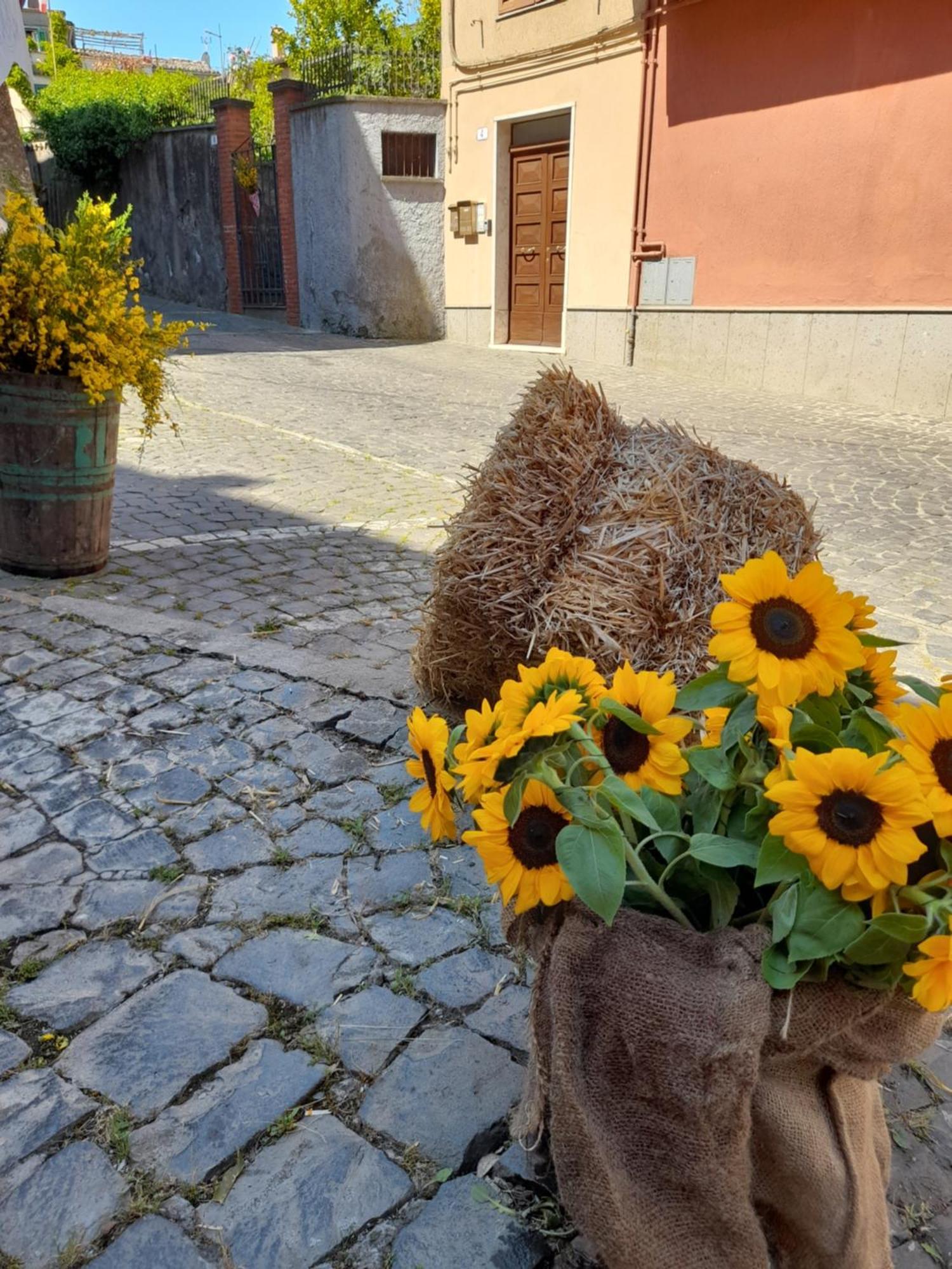 Appartamento Al Civico 4 Marta Eksteriør billede